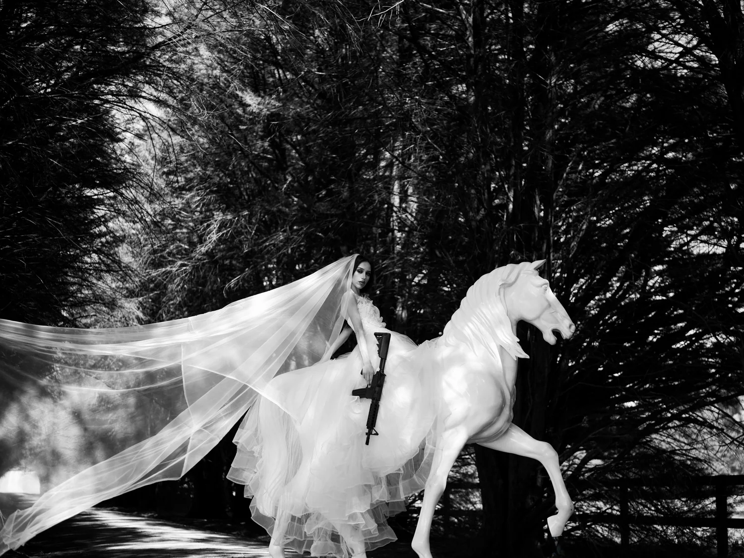 Stardust Photograph by Liam Ferrari