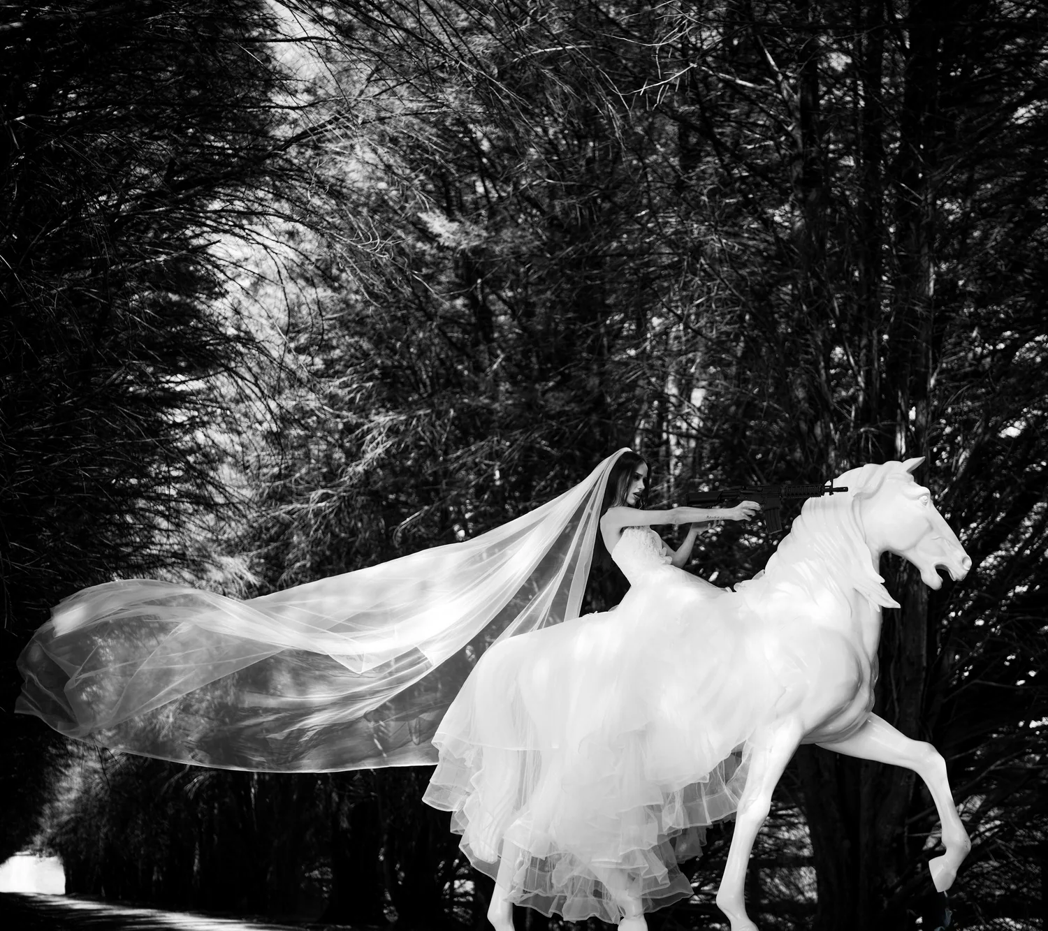 Stardust Photograph by Liam Ferrari